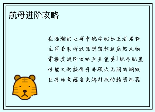 航母进阶攻略
